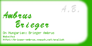 ambrus brieger business card